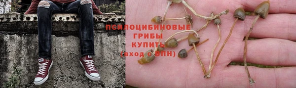 эйфоретик Алексеевка