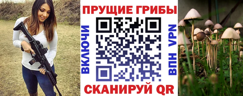 shop официальный сайт  купить   Дрезна  Псилоцибиновые грибы прущие грибы 